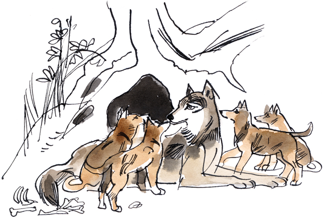Illustration of wolf. Author Ludvík Kunc
