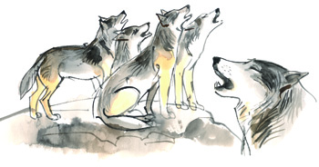 Vyjící vlci - Autor Ludvík Kunc